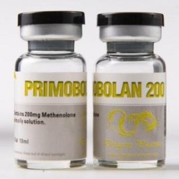Primobolan 200 for sale